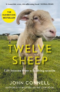 Cover Twelve Sheep