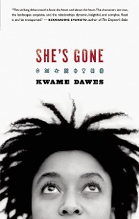 Cover She's Gone