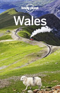 Cover Lonely Planet Wales