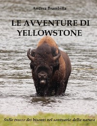 Cover Le Avventure di Yellowstone